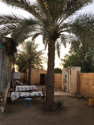 A date palm stands watch over the house my father was allocated in the relocation from the flood in 1964.